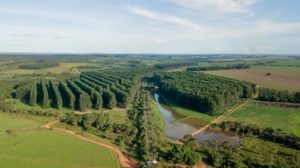 John Deere e The Nature Conservancy firmam acordo  para incentivar a agricultura regenerativa no Brasil