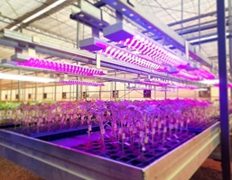 Varixx, Vertigarden e ESALQ-USP se unem para reinventar a agricultura do futuro