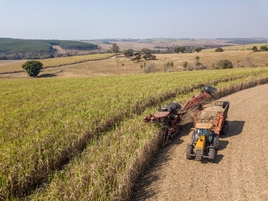 Webinar debaterá as melhores práticas ESG na cadeia da cana