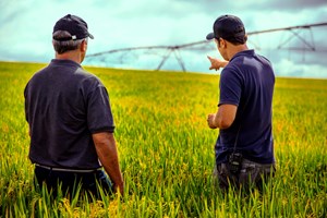 Parcerias aceleram o acesso dos agricultores as melhores tecnologias