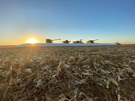 Previsão de safra recorde exige atenção desde já com a armazenagem