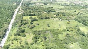 Primeira usina solar com recursos de dinheiro digital do Brasil traz ganha-ganha para consumidores de energia elétrica e compradores da criptomoeda