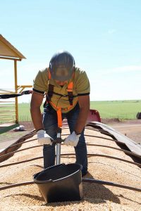 Empresas do agro enfrentam dificuldades na busca por mão de obra especializada