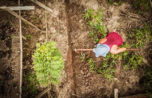 Brasil precisará de um exército de profissionais agroflorestais para liderar a transição regenerativa no mundo
