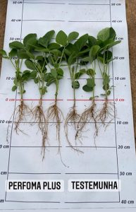 Fertilizantes multinutrientes elevam a produtividade de soja em mais de 5 sacas por hectare