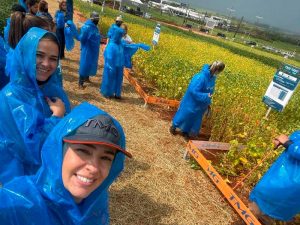TMG promove Dia de Campo e apresenta novidades em seu portifólio