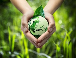 Soluções de impacto positivo e cuidado com o meio ambiente em pauta