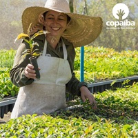 A Associação Ambientalista Copaíba é uma organização sem fins lucrativos qualificada como Organização da Sociedade Civil de Interesse Público (OSCIP